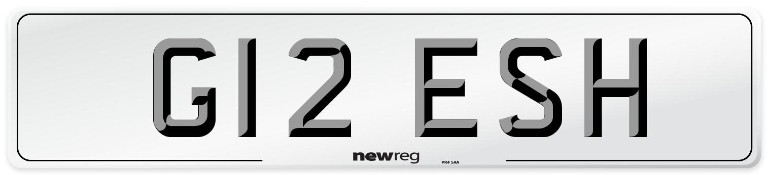 G12 ESH Number Plate from New Reg